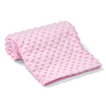 Brand Lab Minky Fleece Blanket