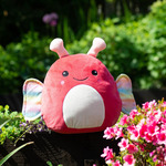 Squidgy’s by Mumbles
